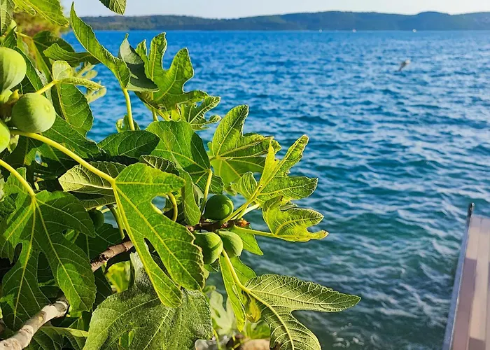 Apartman Penava, Private Beach, Pool And 7min To *